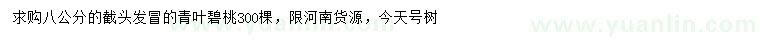 求購(gòu)8公分青葉碧桃