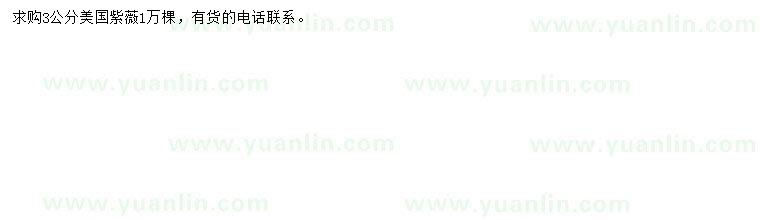 求購3公分美國紫薇
