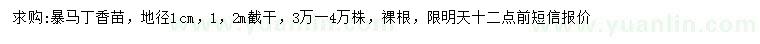 求購地徑1公分暴馬丁香苗