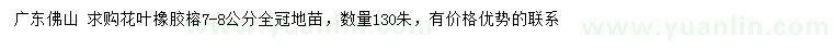 求購(gòu)7-8公分花葉橡膠榕