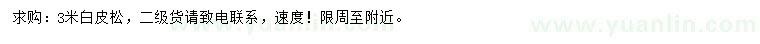 求購3米白皮松