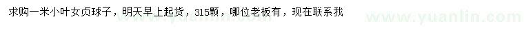 求購1米小葉女貞球