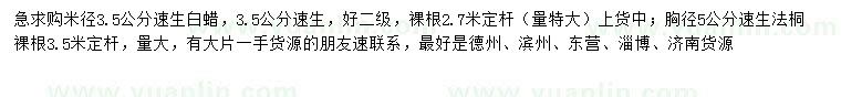 求購米徑3.5公分速生白蠟、胸徑5公分法桐