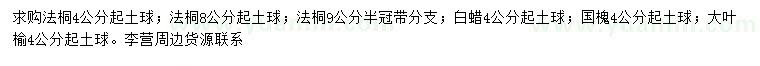 求購法桐、白蠟、國槐等