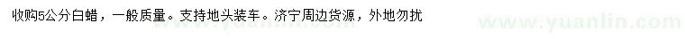 求購5公分白蠟