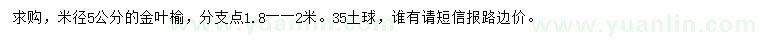 求購米徑5公分金葉榆