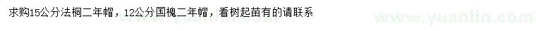求購15公分法桐、12公分國槐
