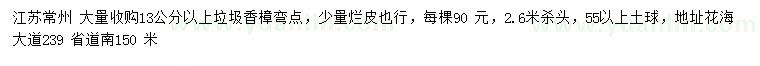 求購13公分以上垃圾香樟