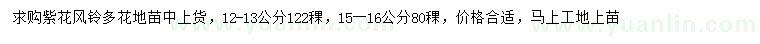 求購12-13、15-16公分紫花風(fēng)鈴多花