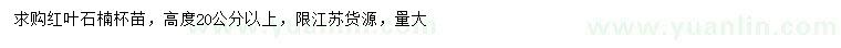 求購高度20公分以上紅葉石楠
