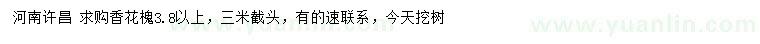 求購(gòu)3.8公分以上香花槐