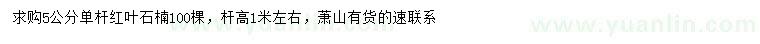 求購5公分單桿紅葉石楠