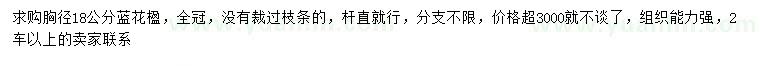 求購胸徑18公分藍(lán)花楹