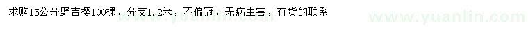 求購(gòu)15公分野吉櫻