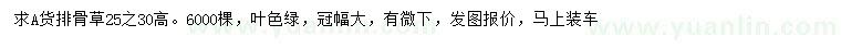 求購高25-30公分排骨草