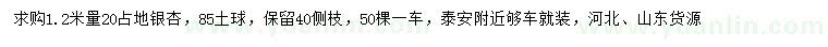 求購1.2米量20占地銀杏