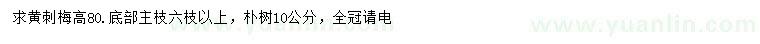 求購(gòu)高80公分黃刺梅、10公分樸樹(shù)