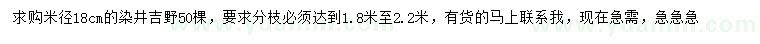求購米徑18公分染井吉野