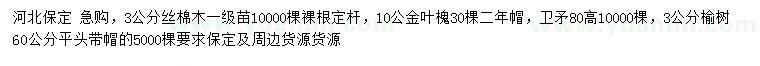 求購絲棉木、金葉槐、衛(wèi)矛等