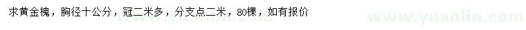 求購胸徑10公分黃金槐