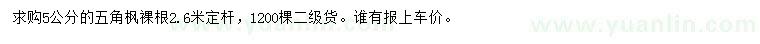 求購5公分五角楓