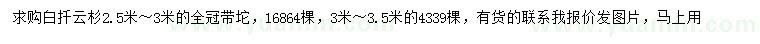 求購2.5-3、3-3.5米白扦云杉