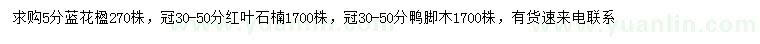 求購(gòu)藍(lán)花楹、紅葉石楠、鴨腳木