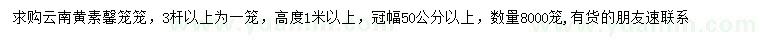 求購高度1米以上云南黃素馨