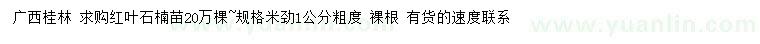 求購米徑1公分紅葉石楠
