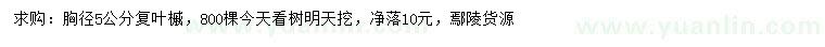 求購胸徑5公分復葉槭