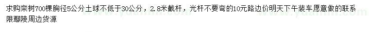 求購(gòu)胸徑5公分欒樹