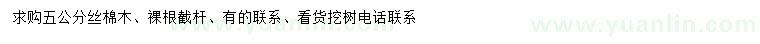 求購5公分絲棉木