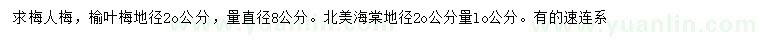 求購(gòu)梅人梅、榆葉梅、北美海棠