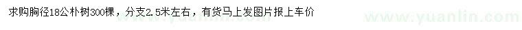 求購(gòu)胸徑18公樸樹(shù)