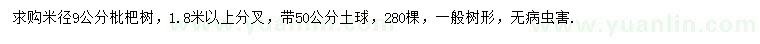 求購米徑9公分枇杷樹