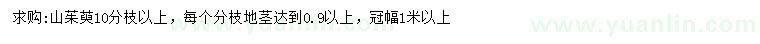 求購(gòu)冠幅1米以上山茱萸