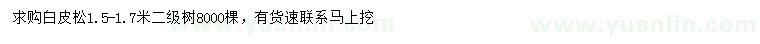 求購1.5-1.7米白皮松