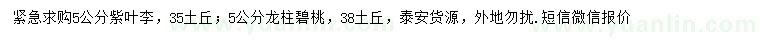 求購5公分紫葉李、龍柱碧桃