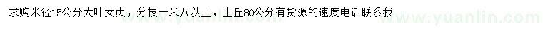 求購米徑15公分大葉女貞
