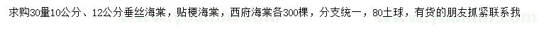 求購垂絲海棠、貼梗海棠、西府海棠