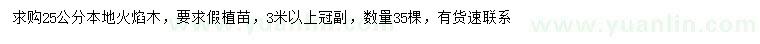 求購25公分本地火焰木