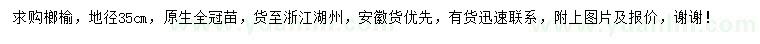 求購地徑35公分榔榆