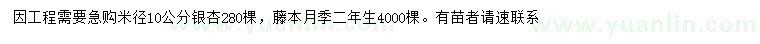 求購(gòu)0公分銀杏、藤本月季