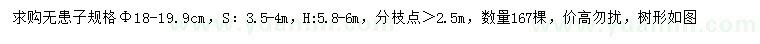 求購(gòu)胸徑18公分無(wú)患子