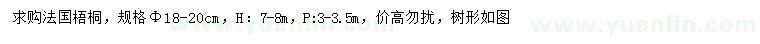 求購胸徑18-20公分法國梧桐