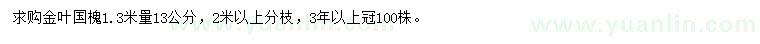 求購1.3米量13公分金葉國槐