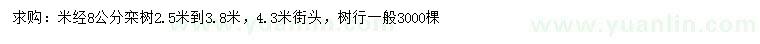 求購米徑8公分欒樹