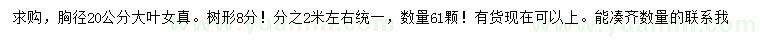 求購胸徑20公分大葉女貞