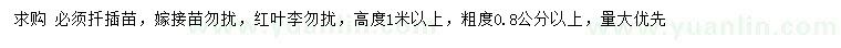 求購0.8公分紫葉李