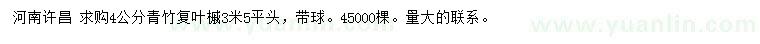 求購4公分青竹復(fù)葉槭